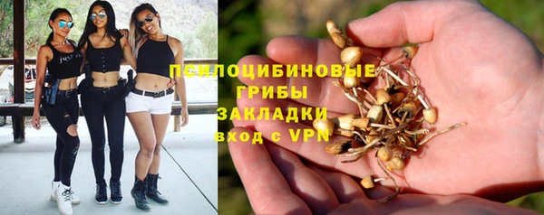 не бодяженный Аркадак