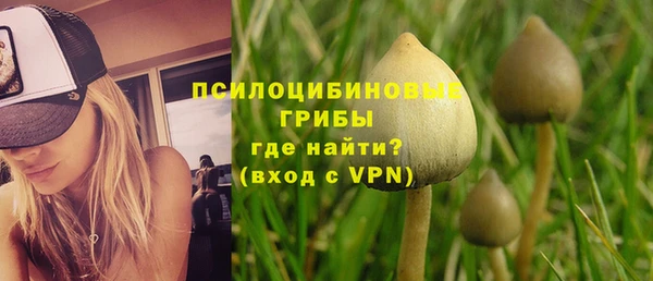 не бодяженный Аркадак