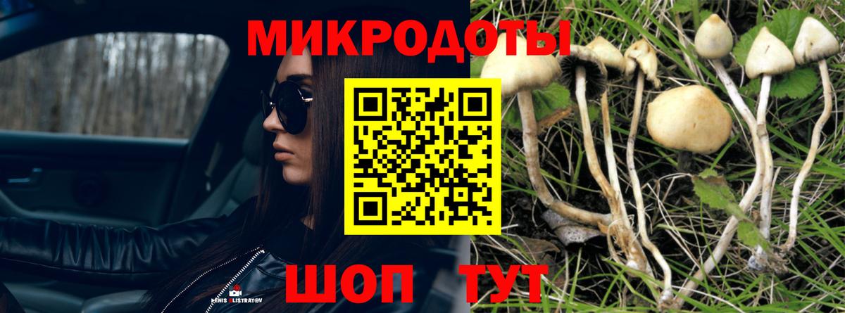 Кирово-Чепецк  Псилоцибиновые грибы GOLDEN TEACHER  Псилоцибиновые грибы мухоморы  Вход с VPN 